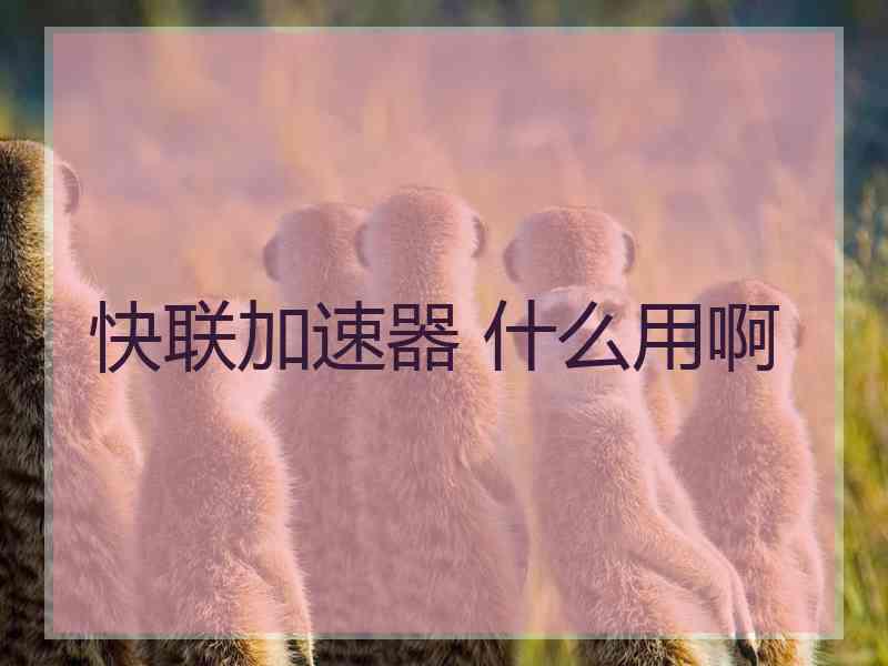 快联加速器 什么用啊