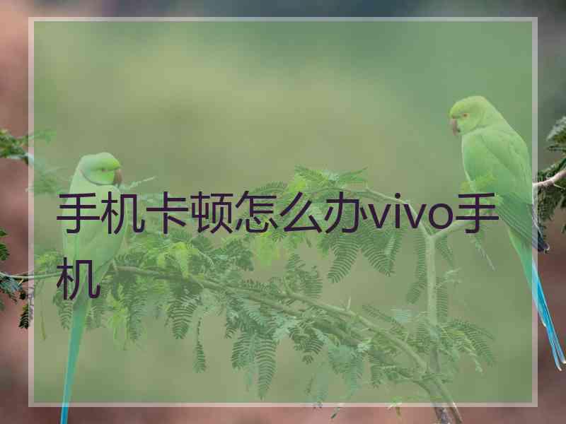 手机卡顿怎么办vivo手机
