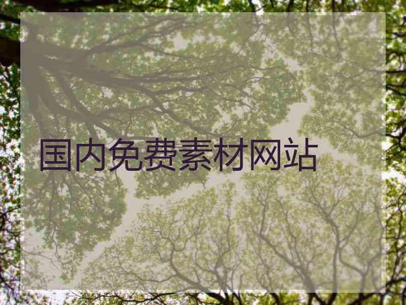 国内免费素材网站