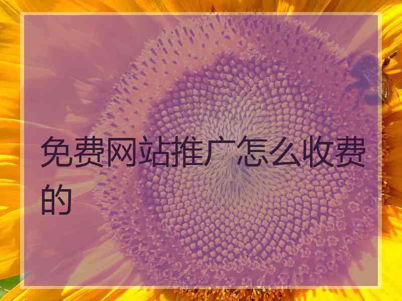 免费网站推广怎么收费的