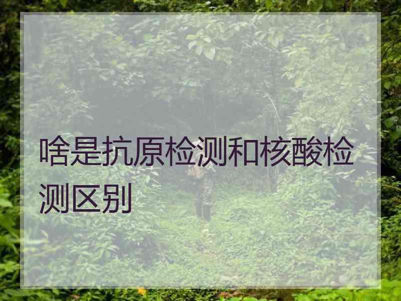 啥是抗原检测和核酸检测区别