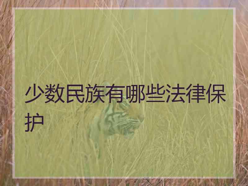 少数民族有哪些法律保护