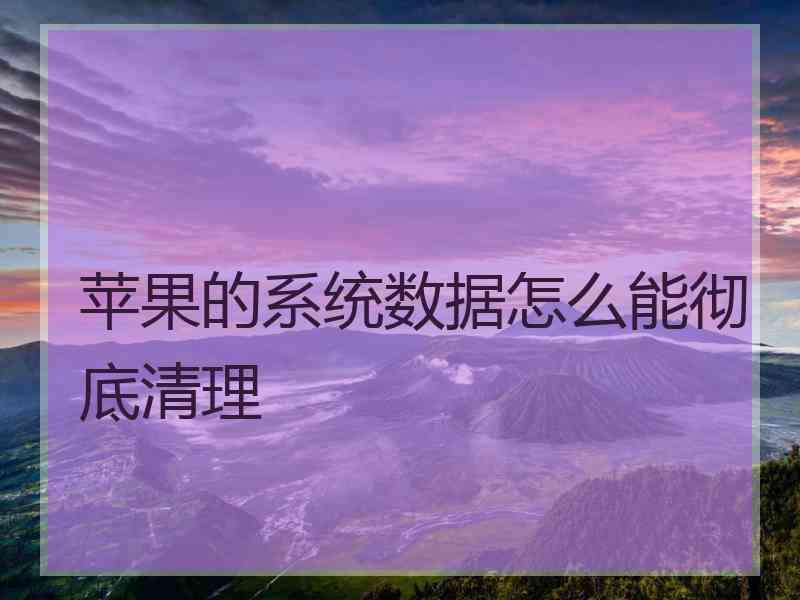 苹果的系统数据怎么能彻底清理