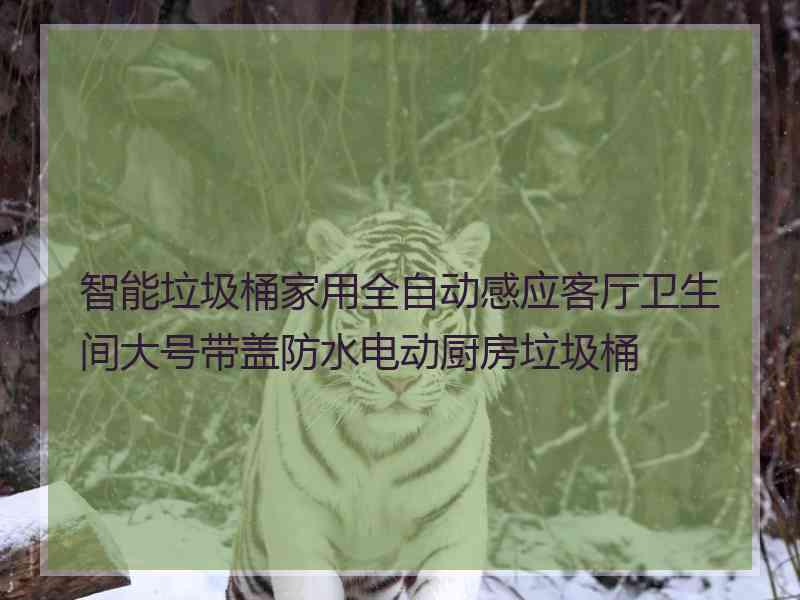 智能垃圾桶家用全自动感应客厅卫生间大号带盖防水电动厨房垃圾桶