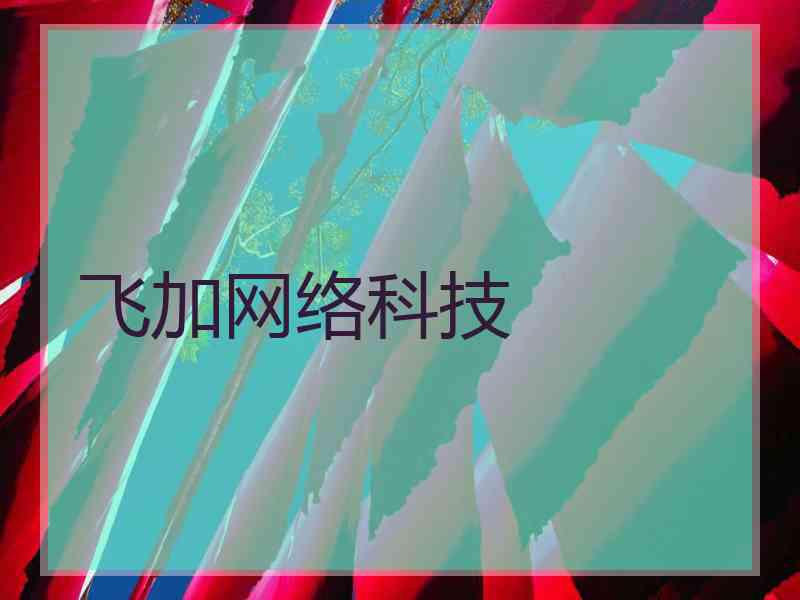 飞加网络科技