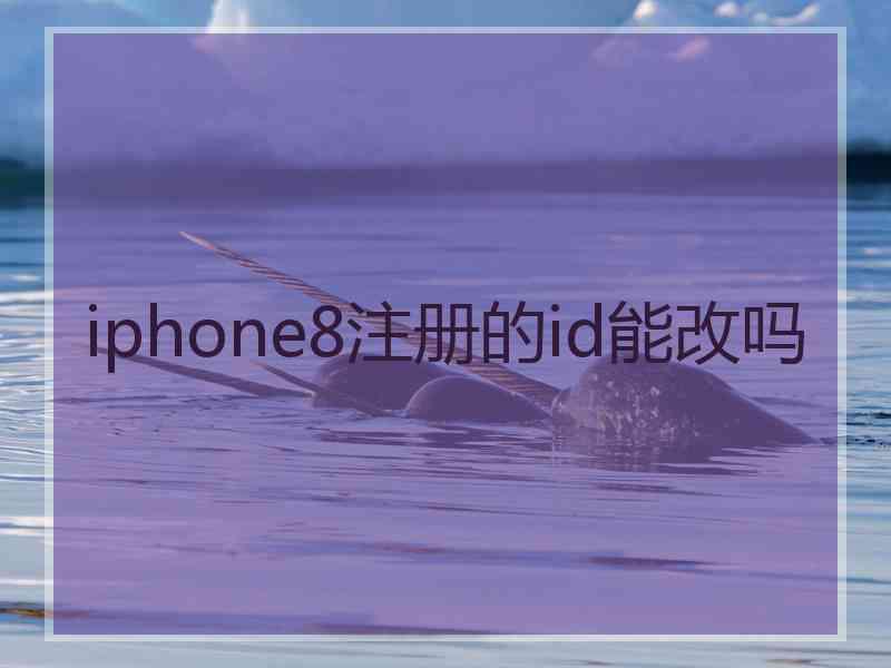 iphone8注册的id能改吗