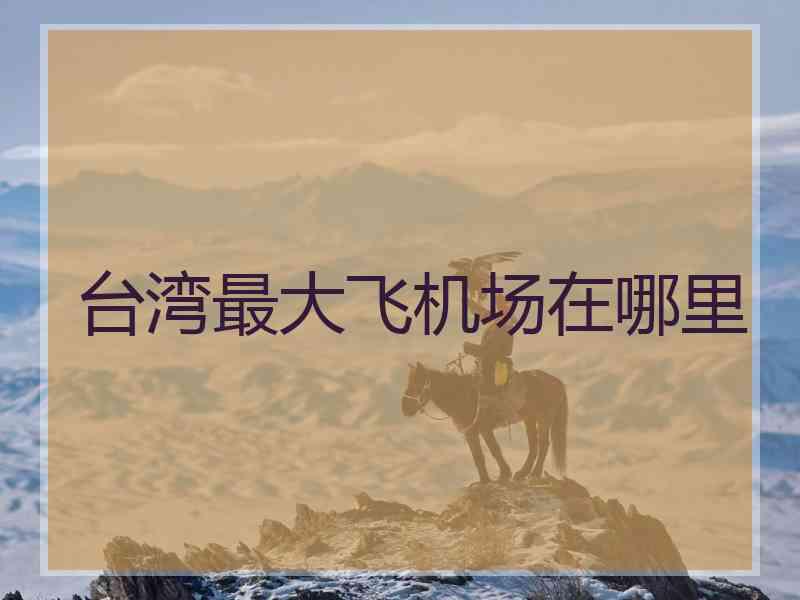 台湾最大飞机场在哪里
