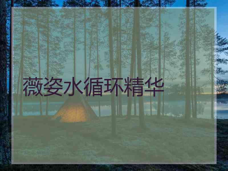 薇姿水循环精华