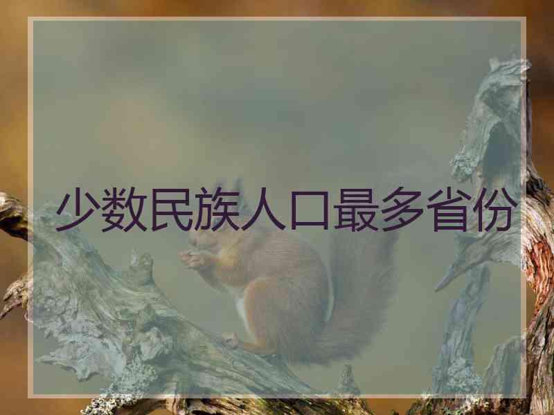 少数民族人口最多省份