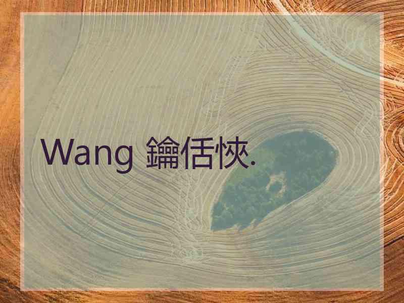 Wang 鑰佸悏.