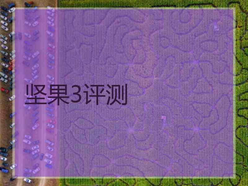 坚果3评测