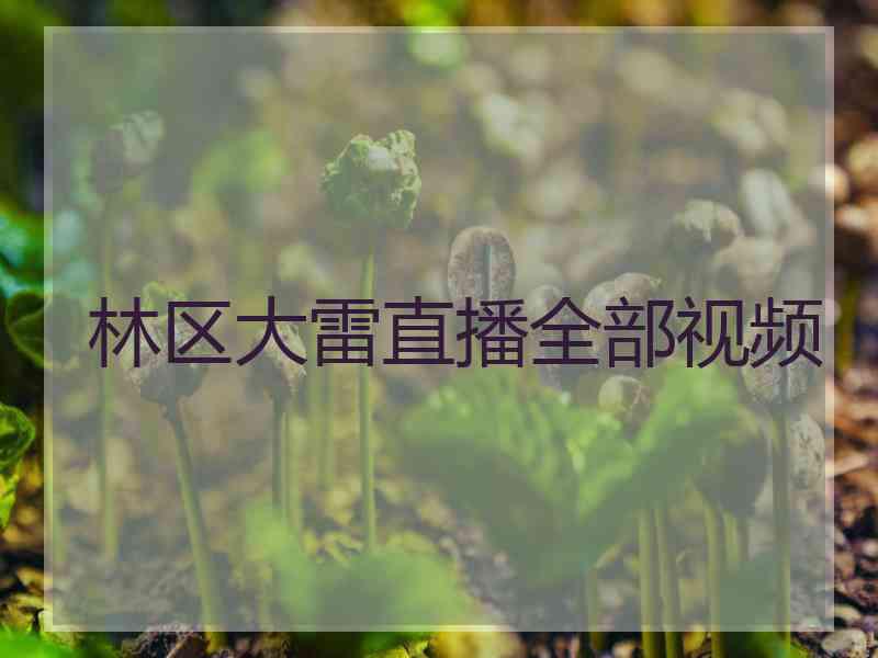 林区大雷直播全部视频