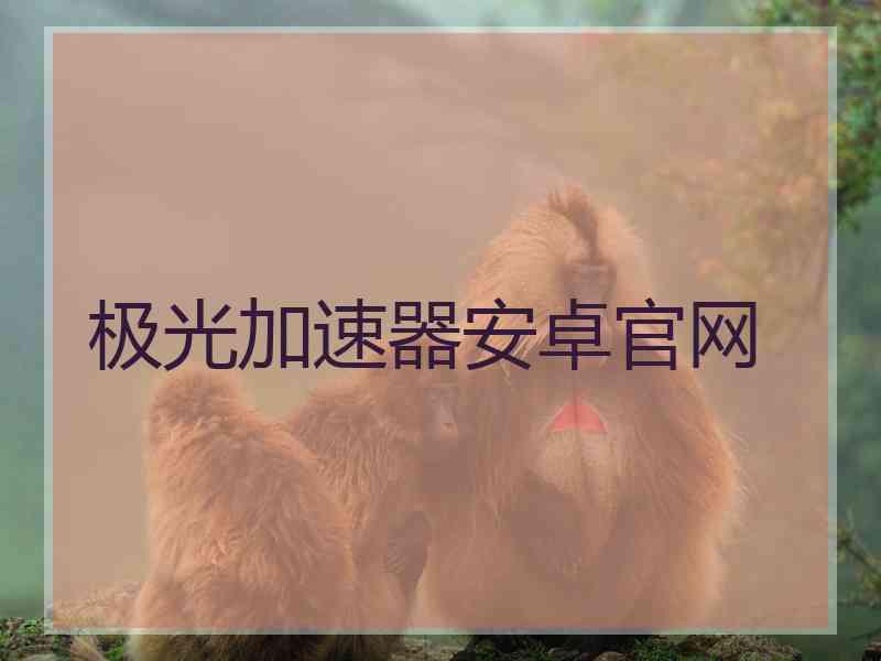 极光加速器安卓官网