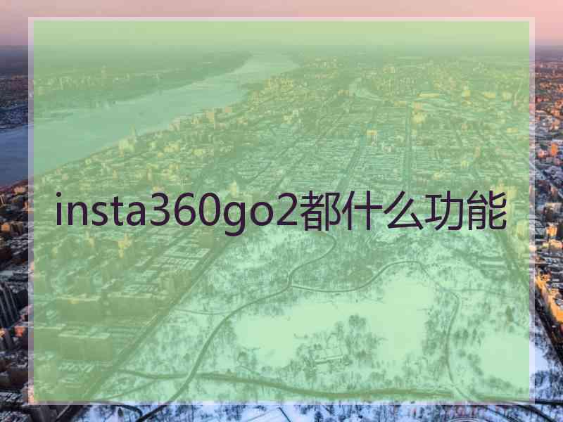 insta360go2都什么功能