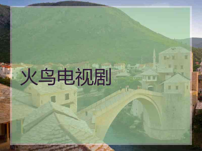 火鸟电视剧