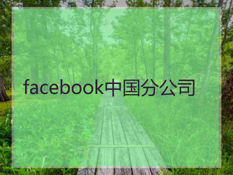 facebook中国分公司