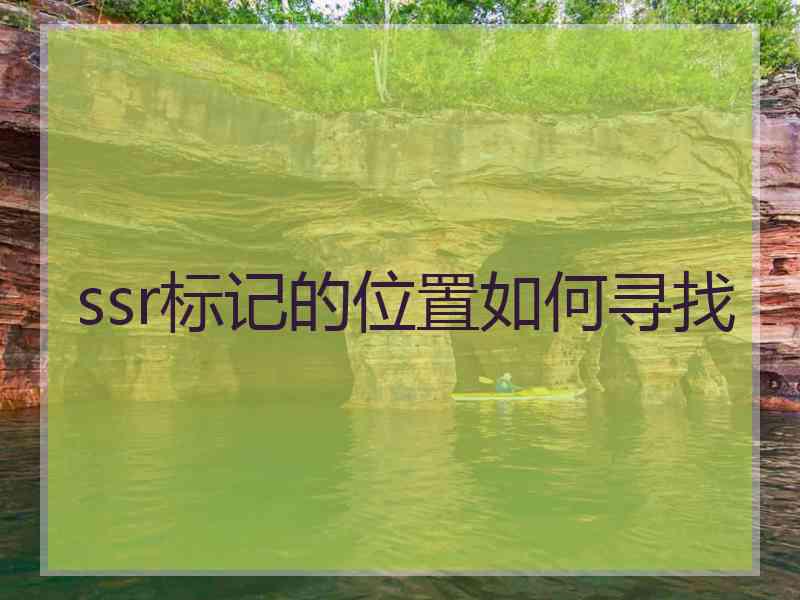 ssr标记的位置如何寻找