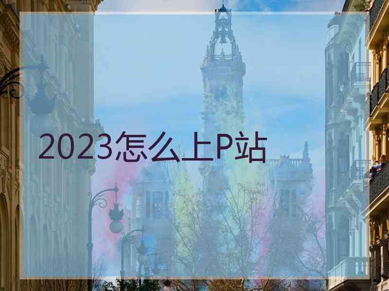 2023怎么上P站