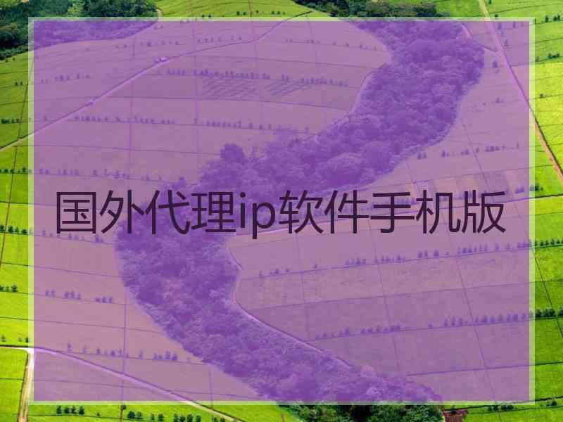 国外代理ip软件手机版