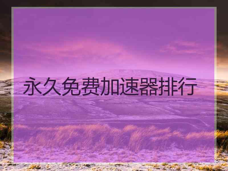 永久免费加速器排行