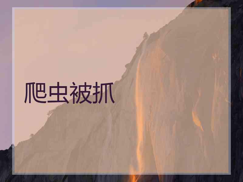 爬虫被抓