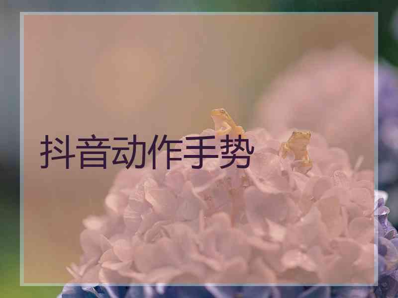 抖音动作手势