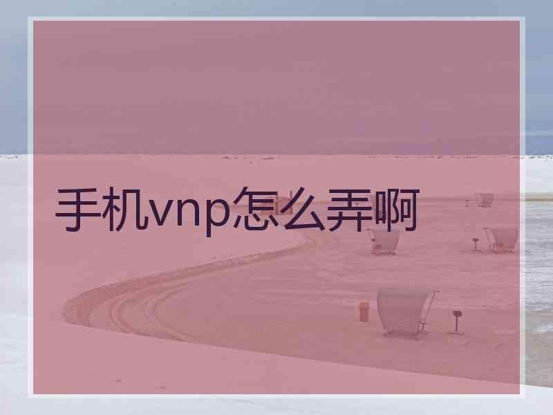 手机vnp怎么弄啊