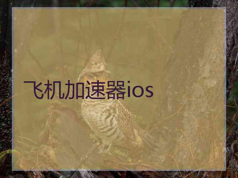 飞机加速器ios