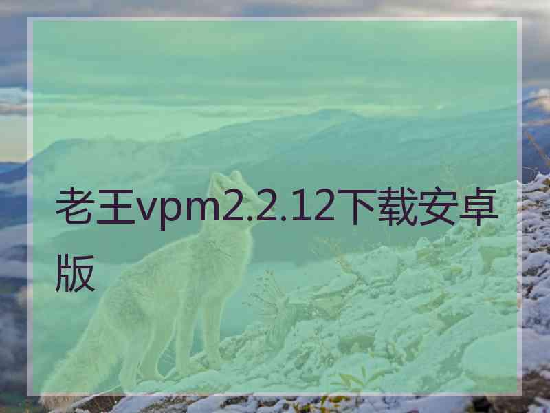 老王vpm2.2.12下载安卓版