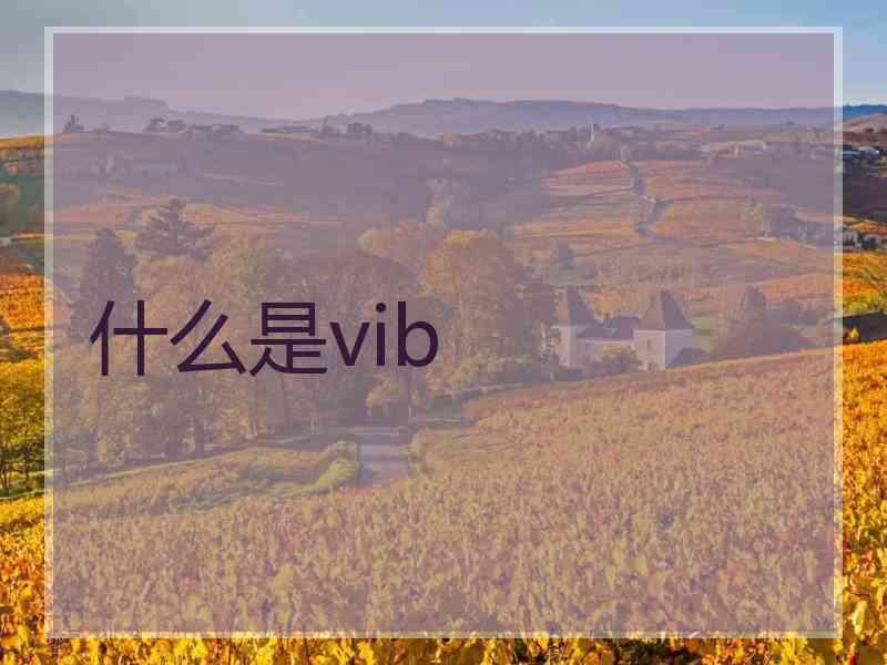 什么是vib