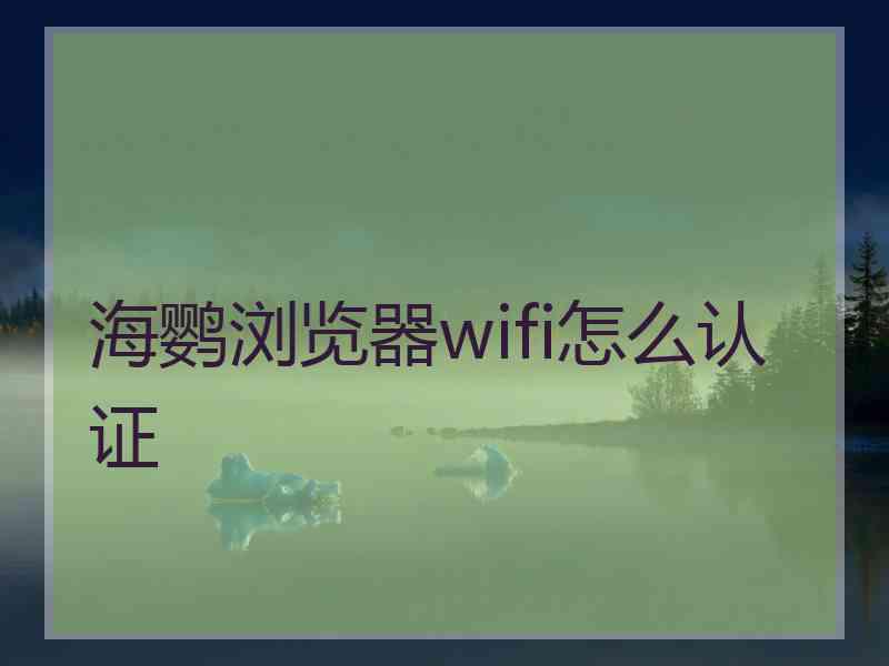 海鹦浏览器wifi怎么认证