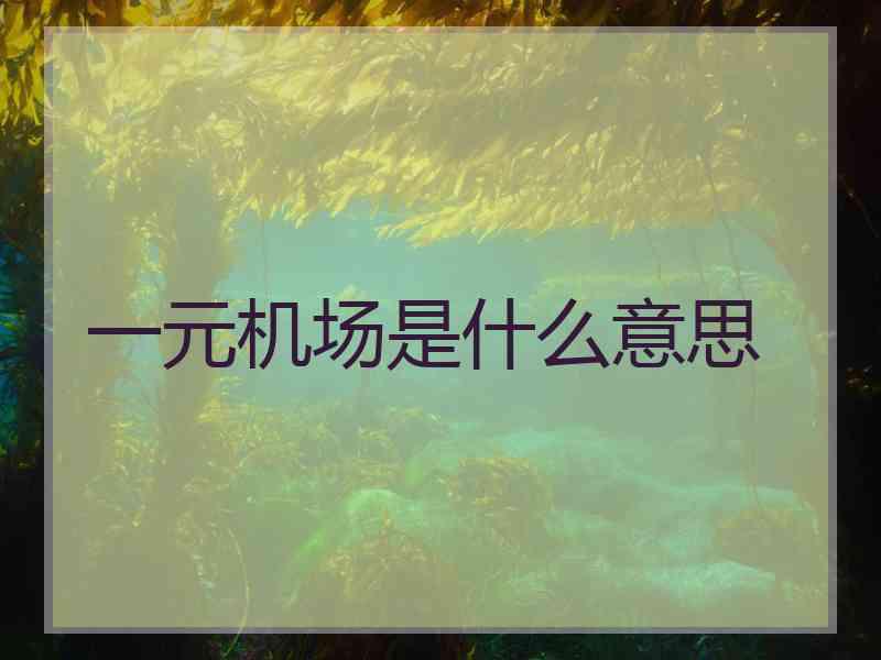 一元机场是什么意思