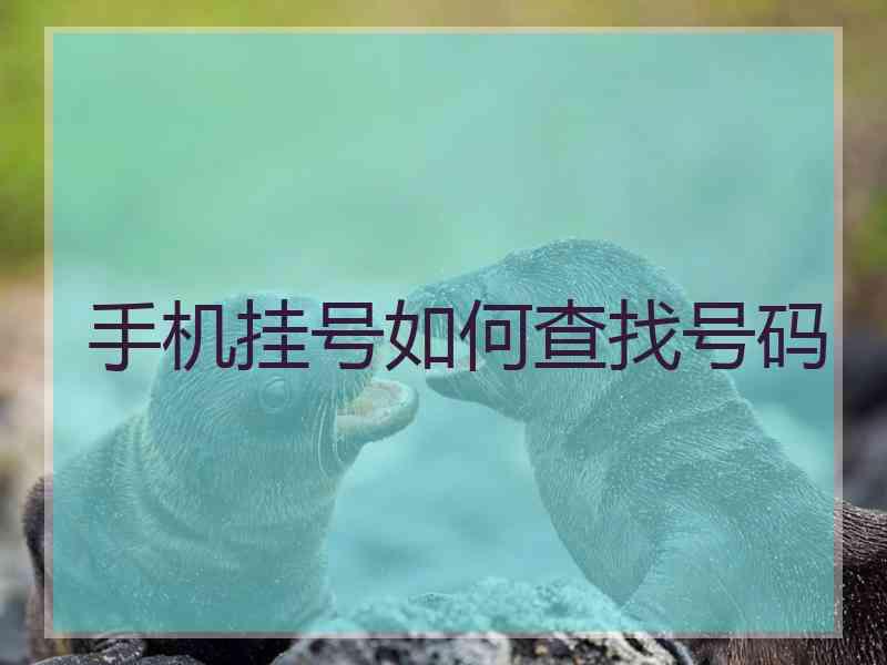 手机挂号如何查找号码