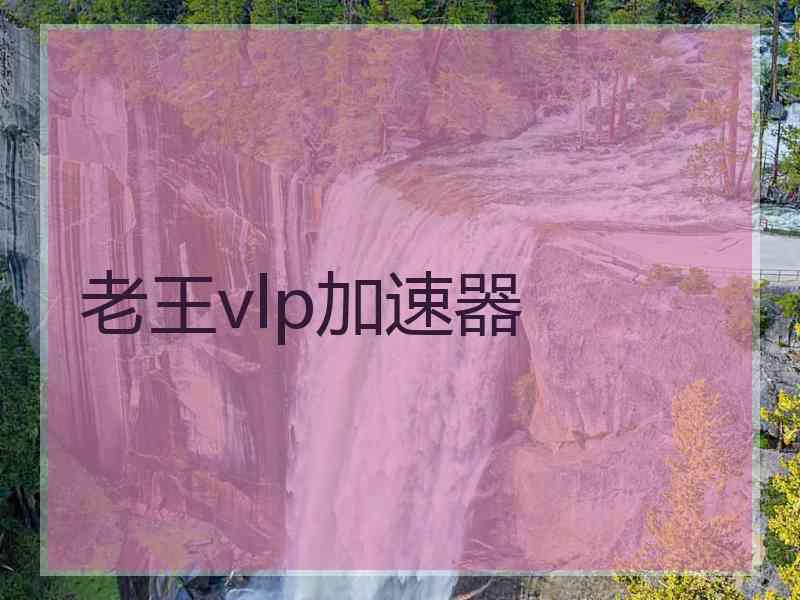 老王vlp加速器