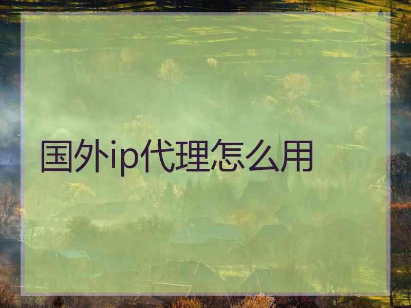 国外ip代理怎么用