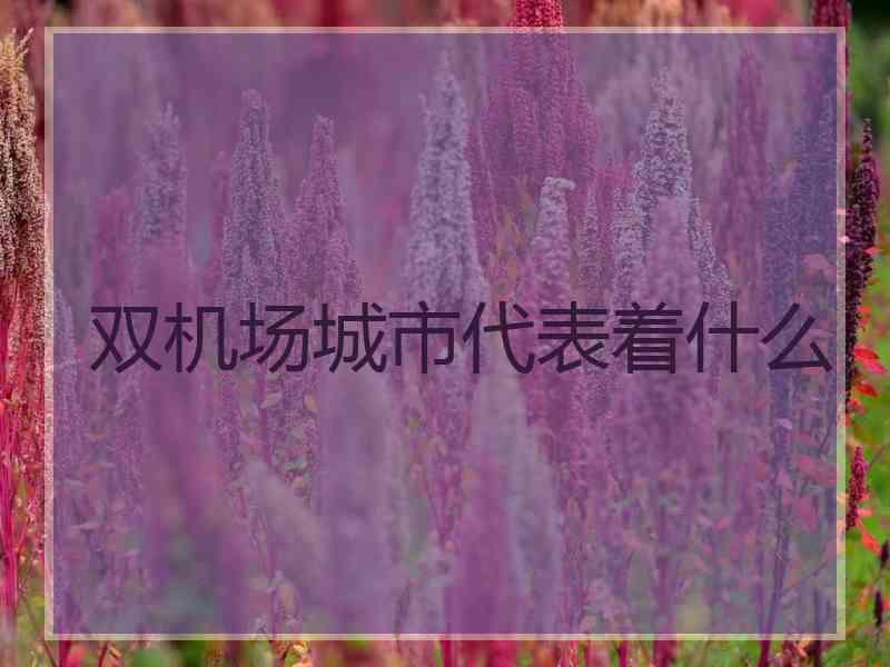 双机场城市代表着什么