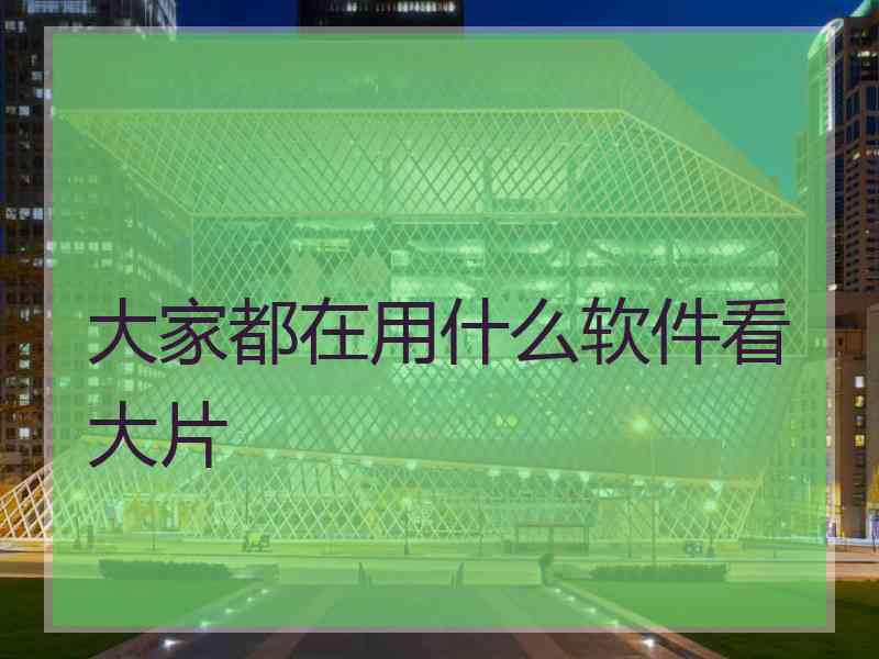 大家都在用什么软件看大片