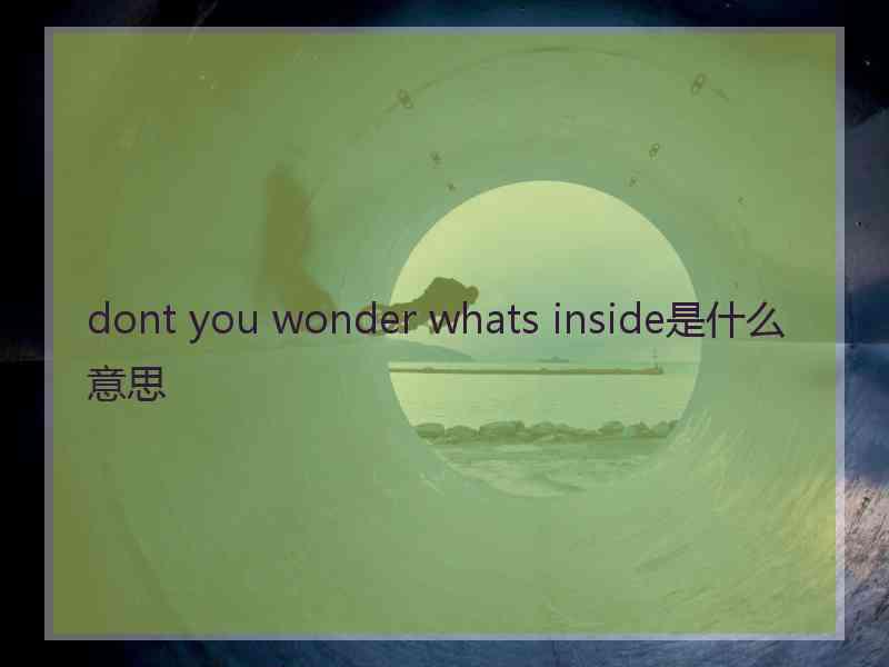 dont you wonder whats inside是什么意思
