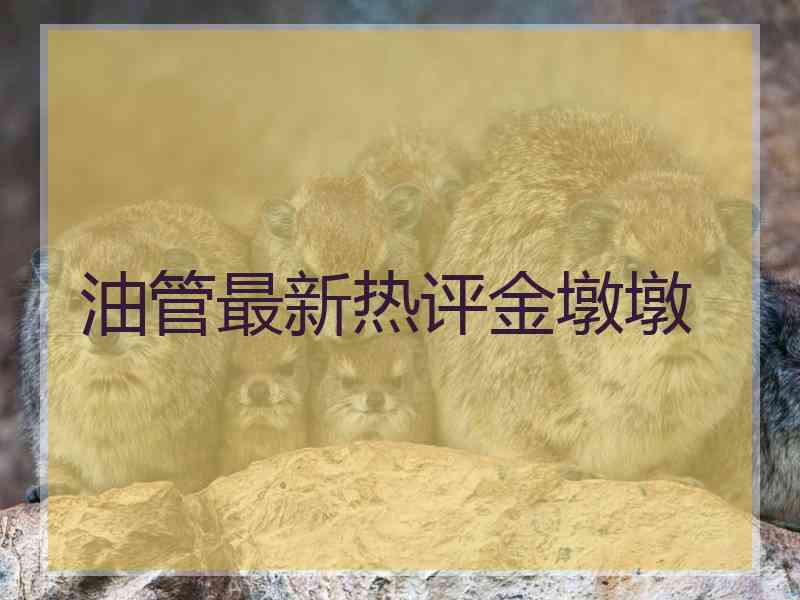 油管最新热评金墩墩