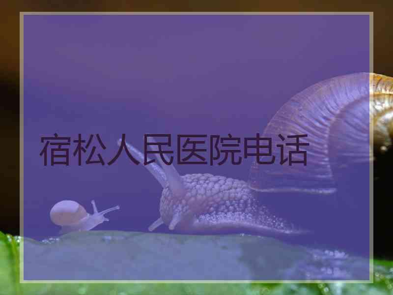 宿松人民医院电话