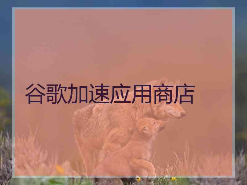 谷歌加速应用商店