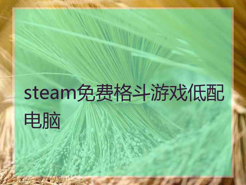 steam免费格斗游戏低配电脑