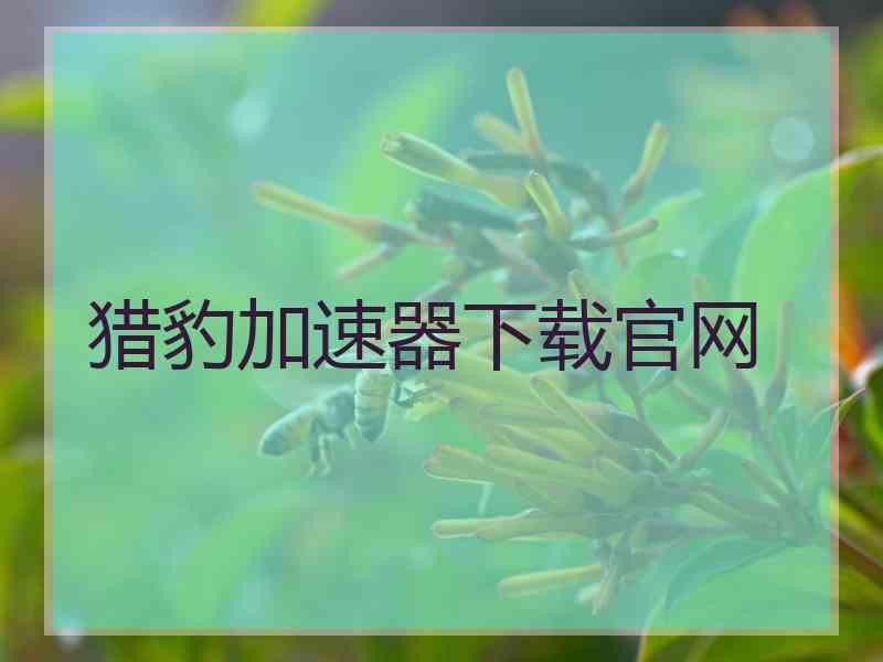 猎豹加速器下载官网