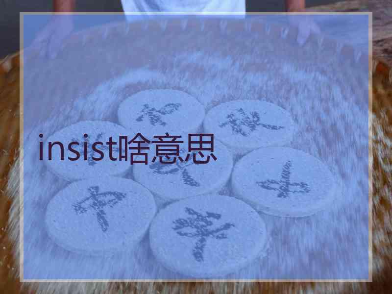 insist啥意思