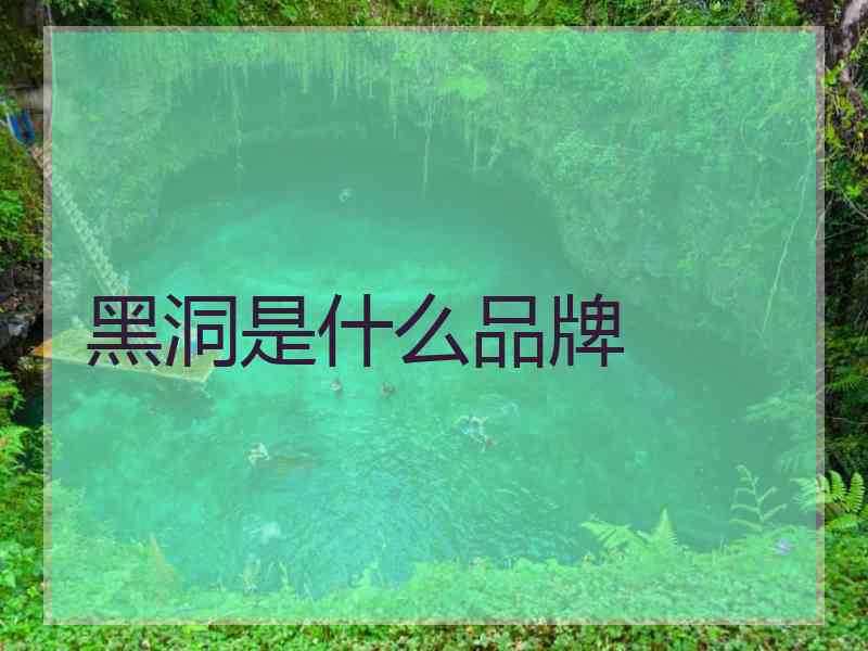 黑洞是什么品牌