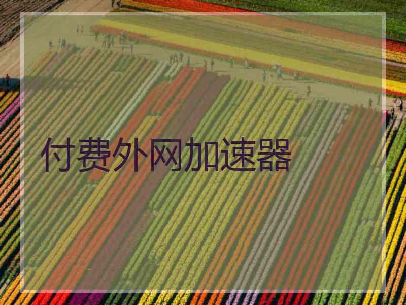 付费外网加速器