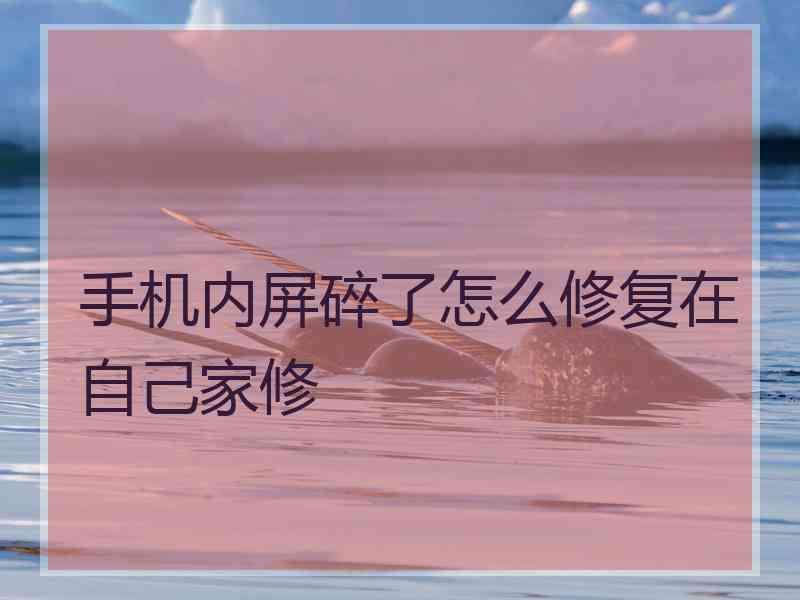 手机内屏碎了怎么修复在自己家修