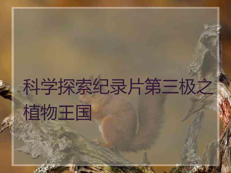 科学探索纪录片第三极之植物王国