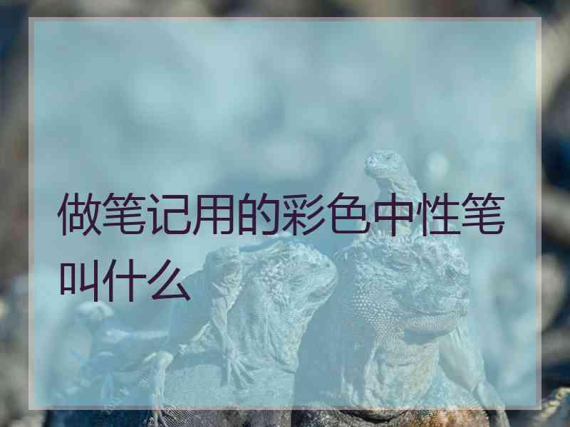 做笔记用的彩色中性笔叫什么