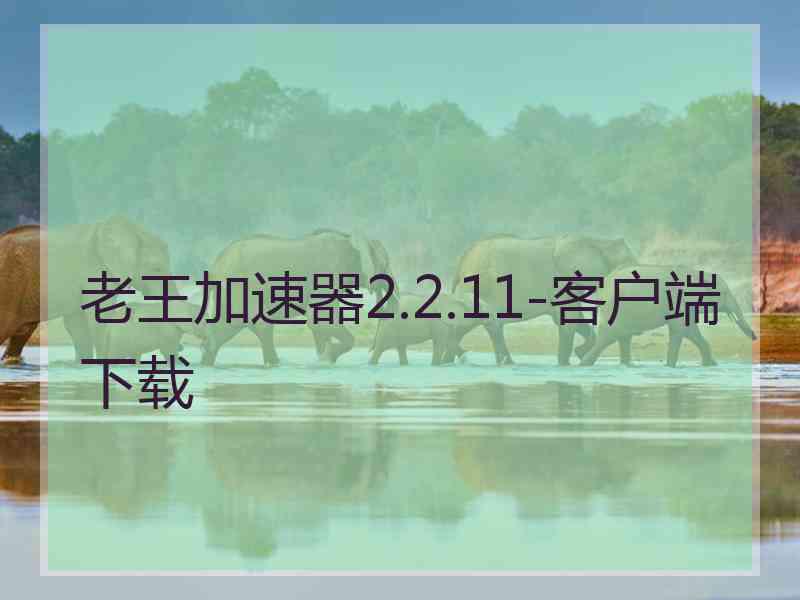 老王加速器2.2.11-客户端下载